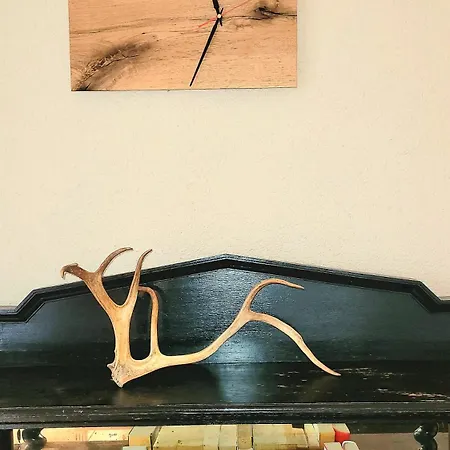 Apartment Schwarzwaldliebe 20 Min Zum Europa Park *