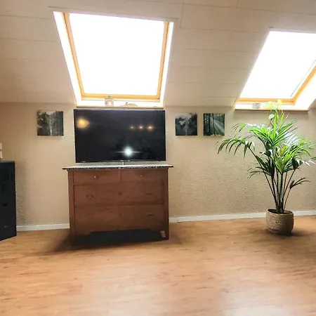 Apartment Schwarzwaldliebe 20 Min Zum Europa Park