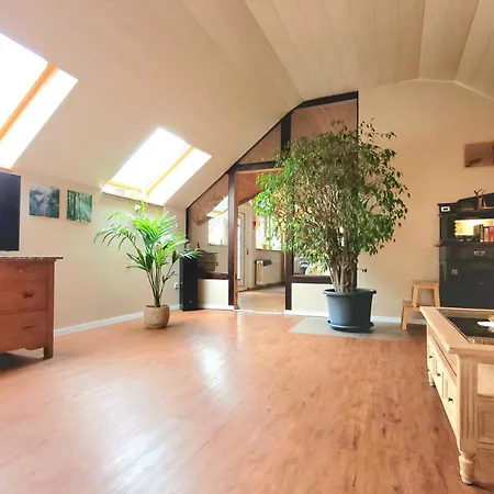 Schwarzwaldliebe 20 Min Zum Europa Park Neuried (Baden-Wurttemberg)