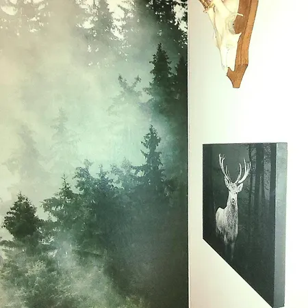 Apartment Schwarzwaldliebe 20 Min Zum Europa Park